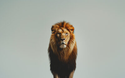 Lejonet av Juda