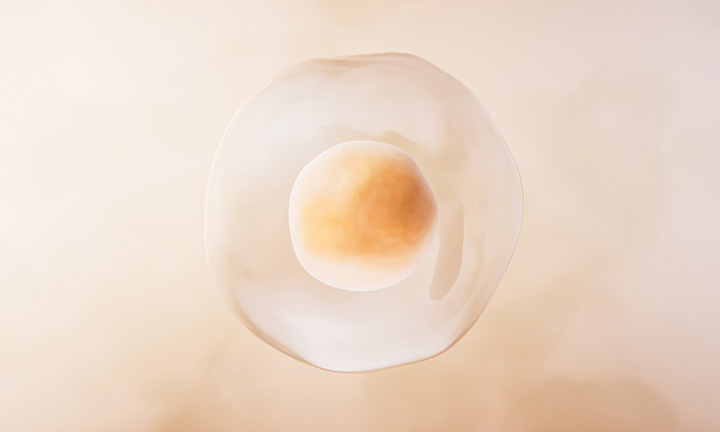 Forskning på mänskliga embryon 