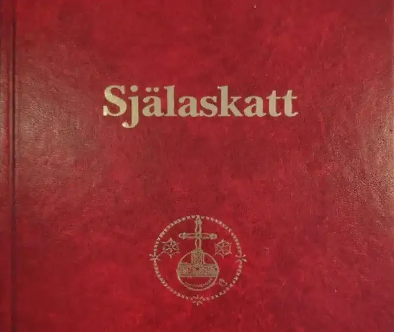 Ledare 2 Den enda skatt som gör mig rik …
