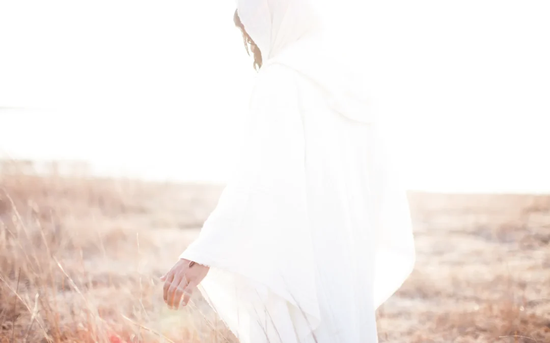 56 år av teologiskt arbete